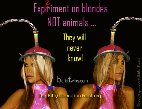 Experiment on blondes